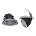 Adjustable Down Light B1
